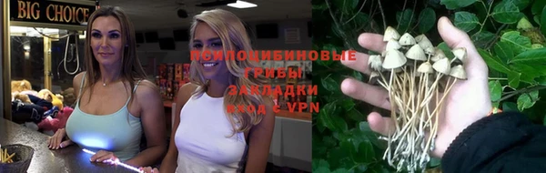 дживик Лабытнанги