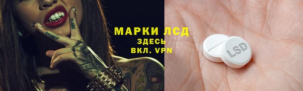 прущий лед Лагань