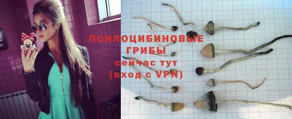 прущий лед Лагань