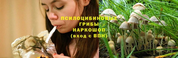 прущий лед Лагань
