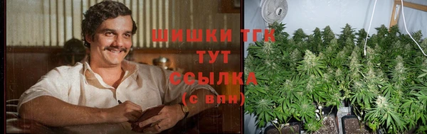 прущий лед Лагань