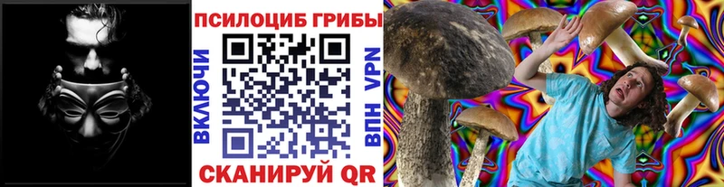 Псилоцибиновые грибы MAGIC MUSHROOMS  Щигры 